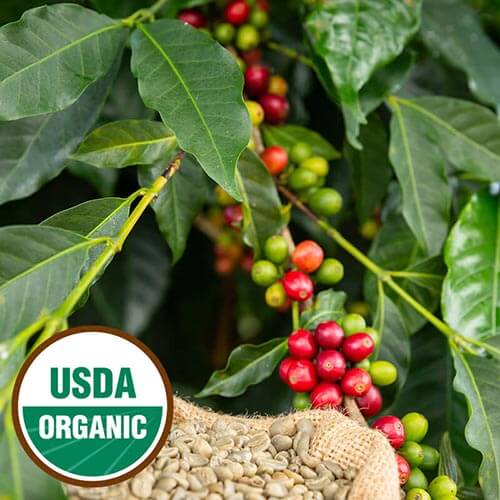 Coast Roast Coffee About Us USDA Organic Coffee