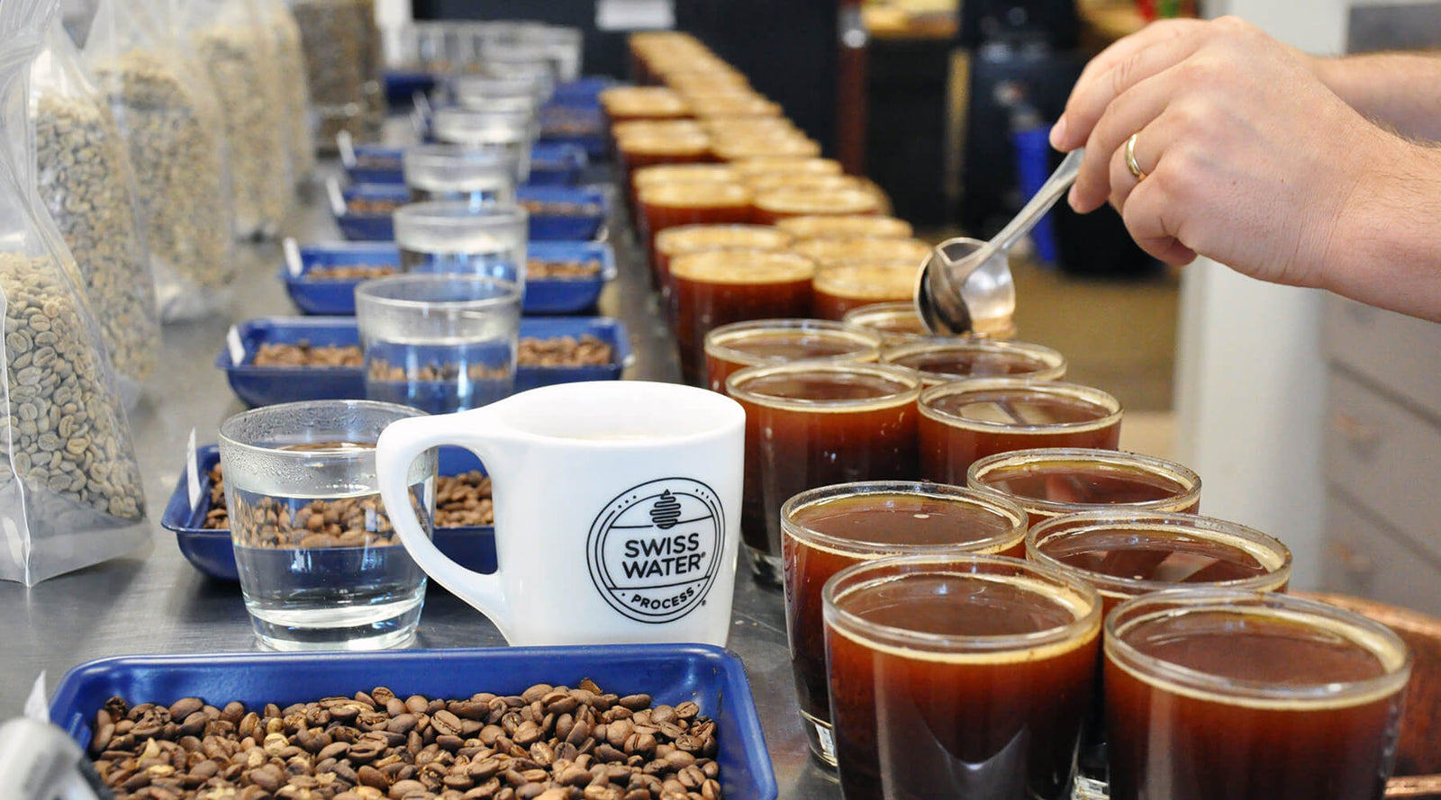 Swiss Water Decaf Coffee: What It Is & Why It’s Important